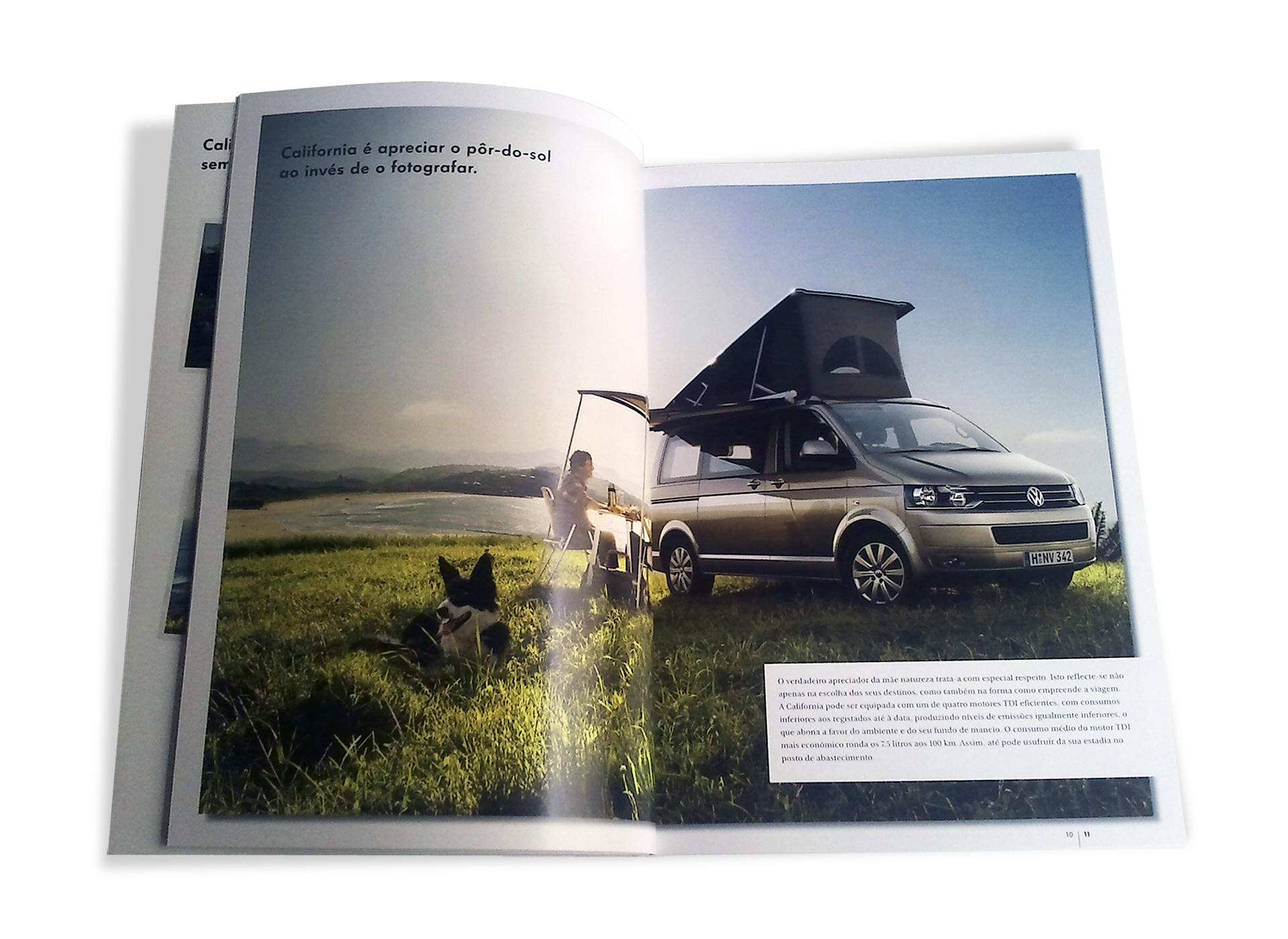 SIVA Veículos Comerciais