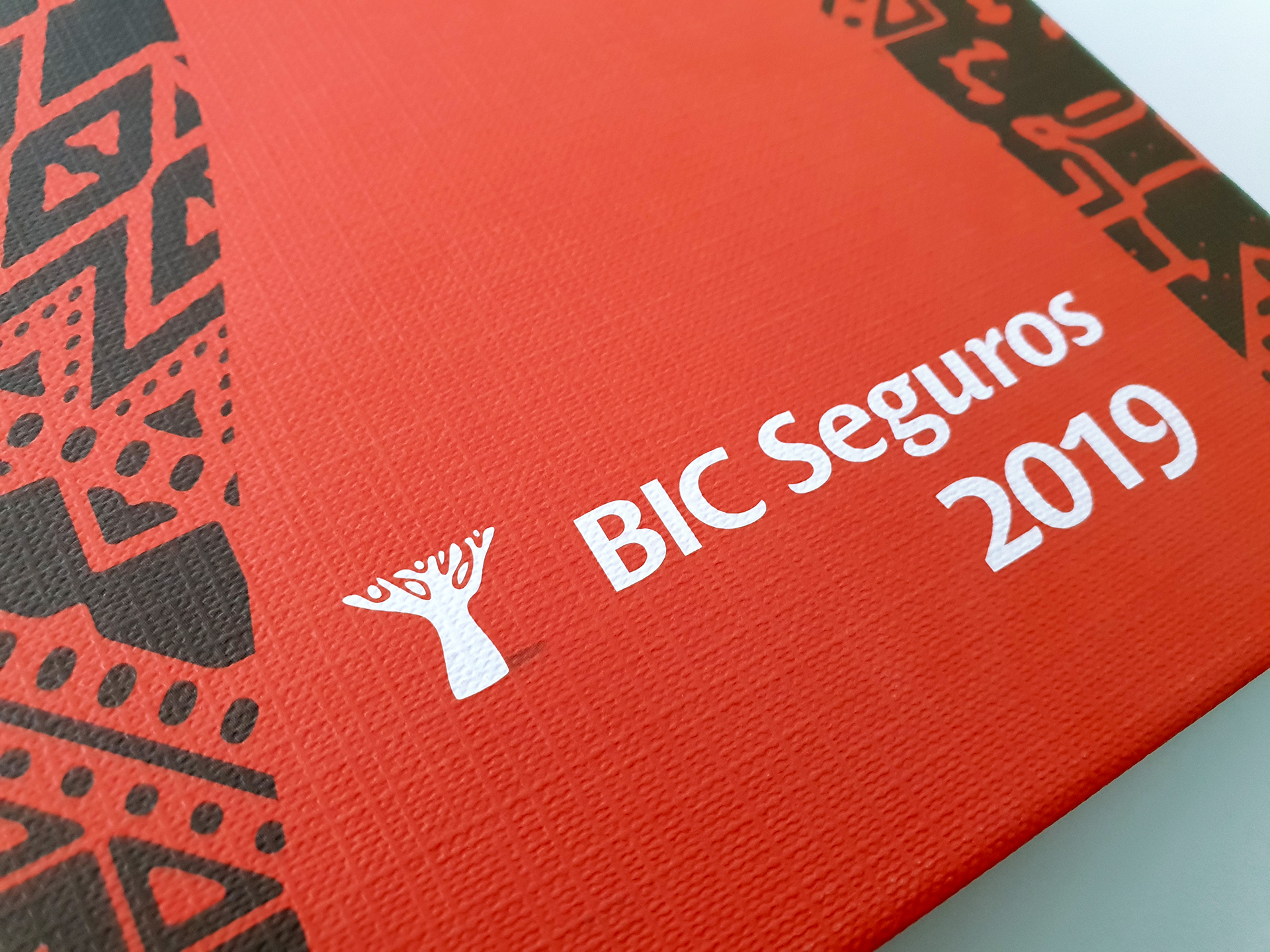 BIC Seguros