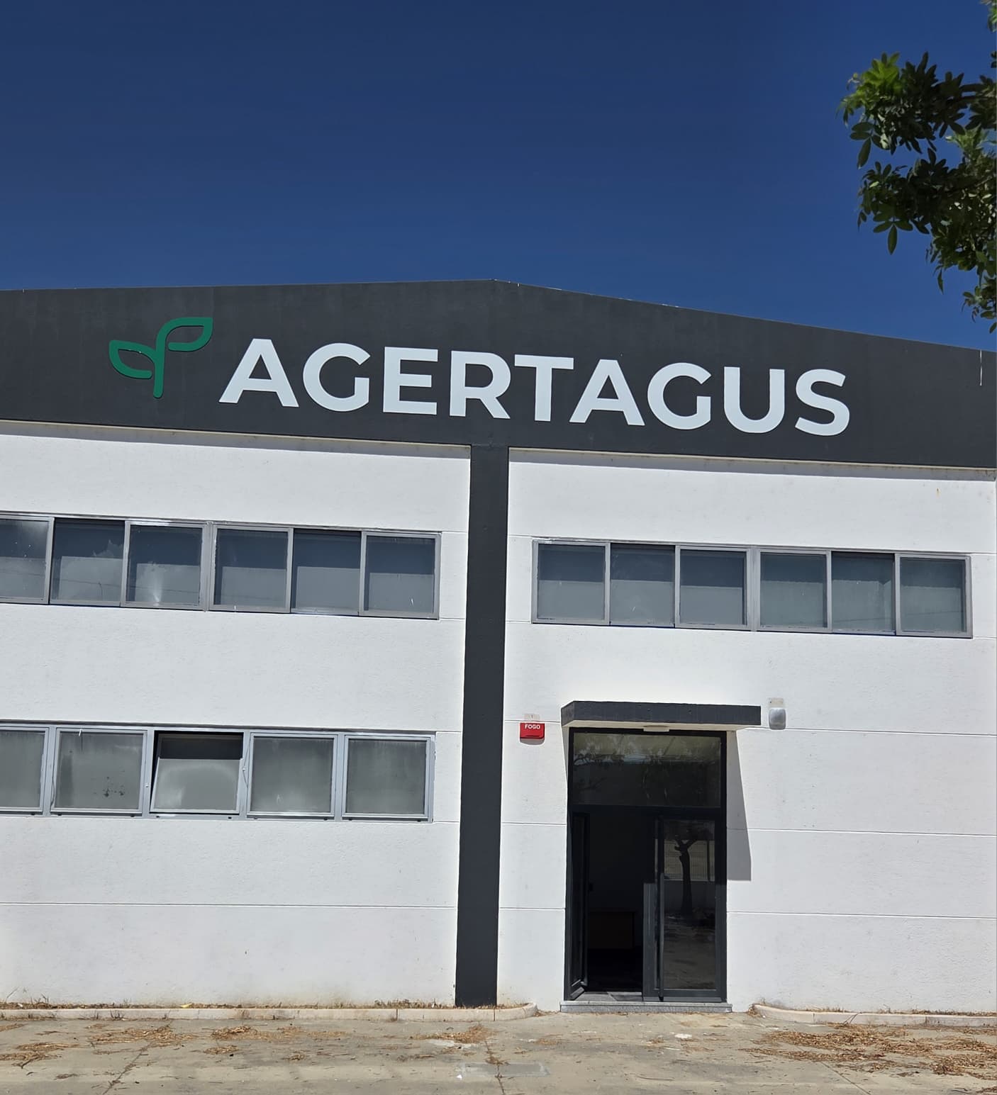 Agertagus